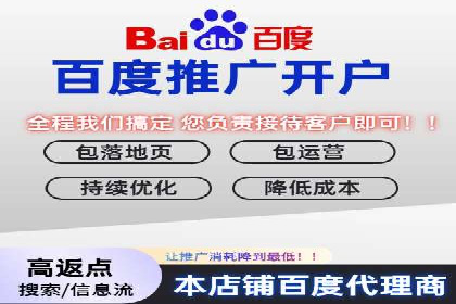 SEM广告投放中的数据监控与调整策略——以某品牌营销案例为例